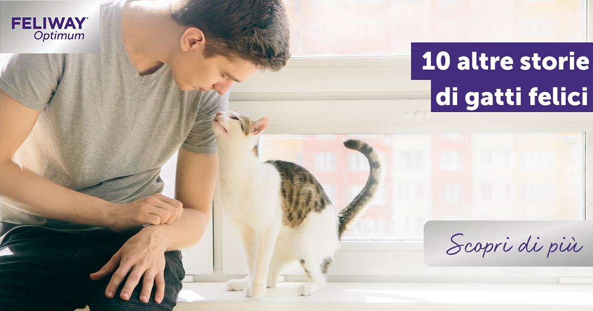 10 altre storie di gatti felici