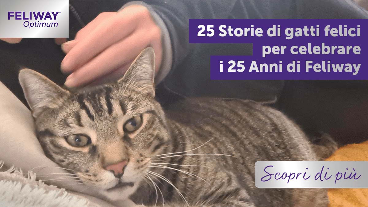 25 storie di gatti felici per celebrare i 25 anni di FELIWAY!
