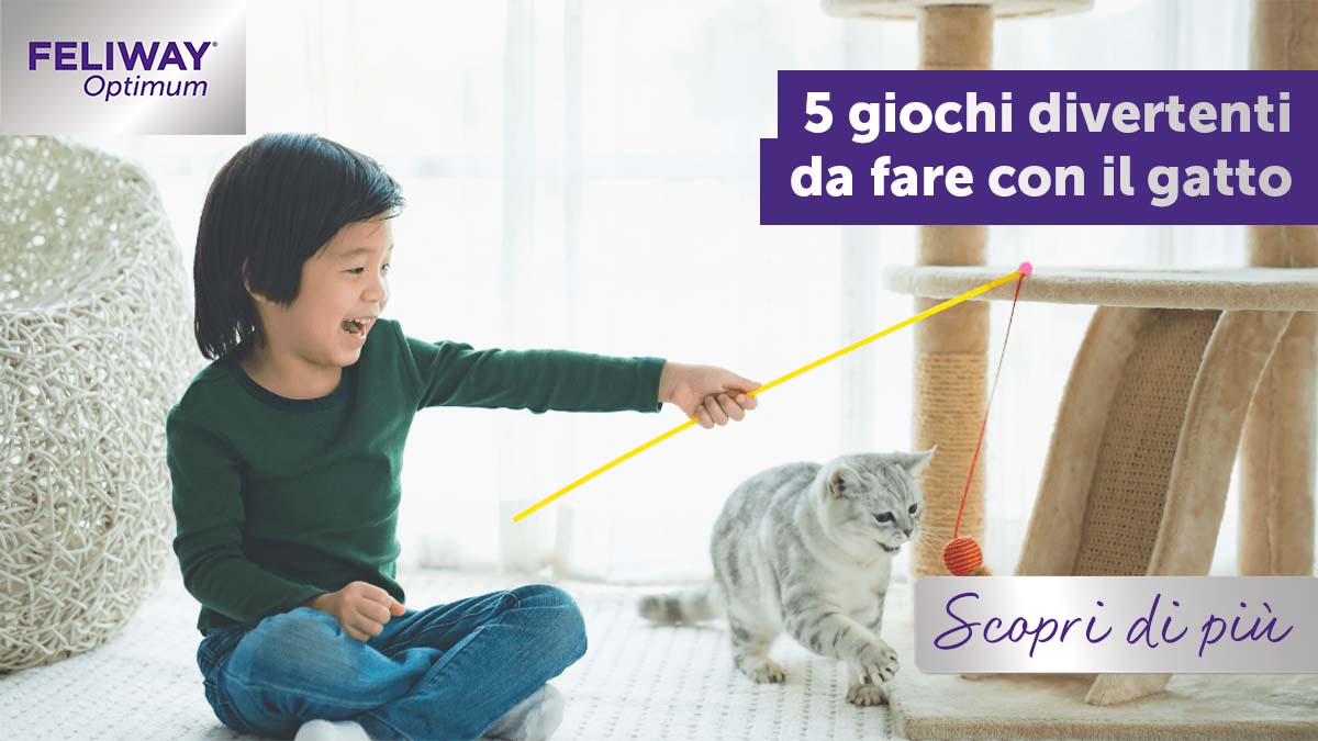 5 giochi col gatto
