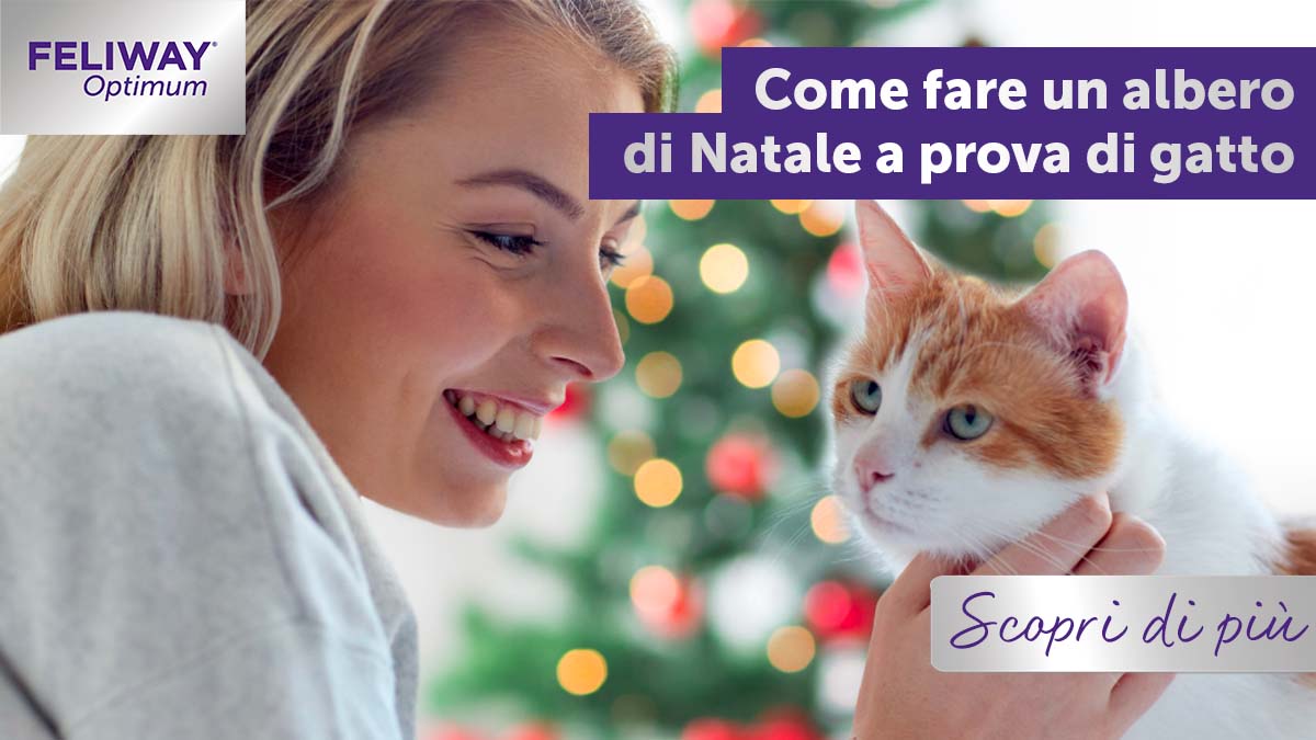 Come fare un albero di Natale a prova di gatto