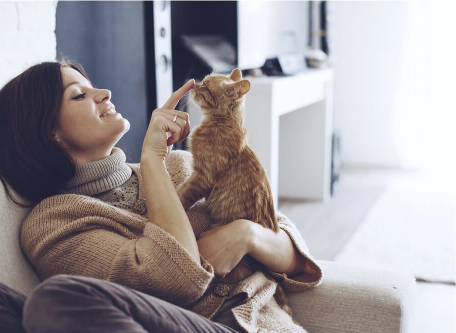 Come approcciare un gatto e socializzare con lui?