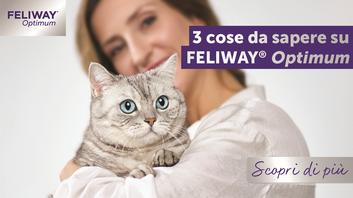 Feliway Optimum, per gatti felici come mai prima - 45'' 