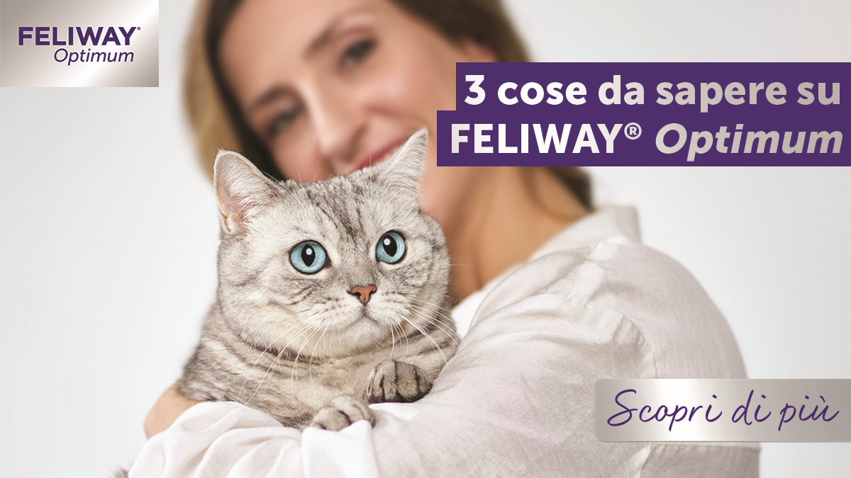 3 cose da sapere su FELIWAY Optimum!