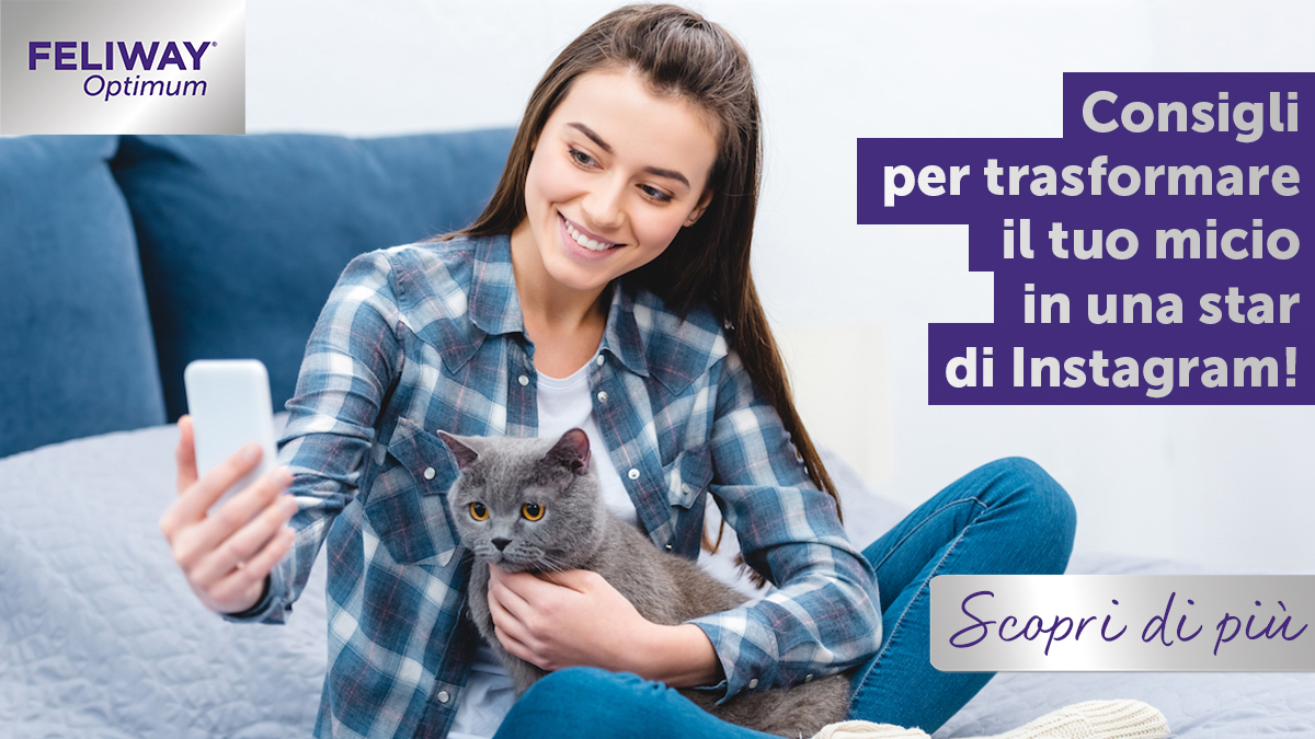 Consigli per trasformare il tuo micio in una star di Instagram!