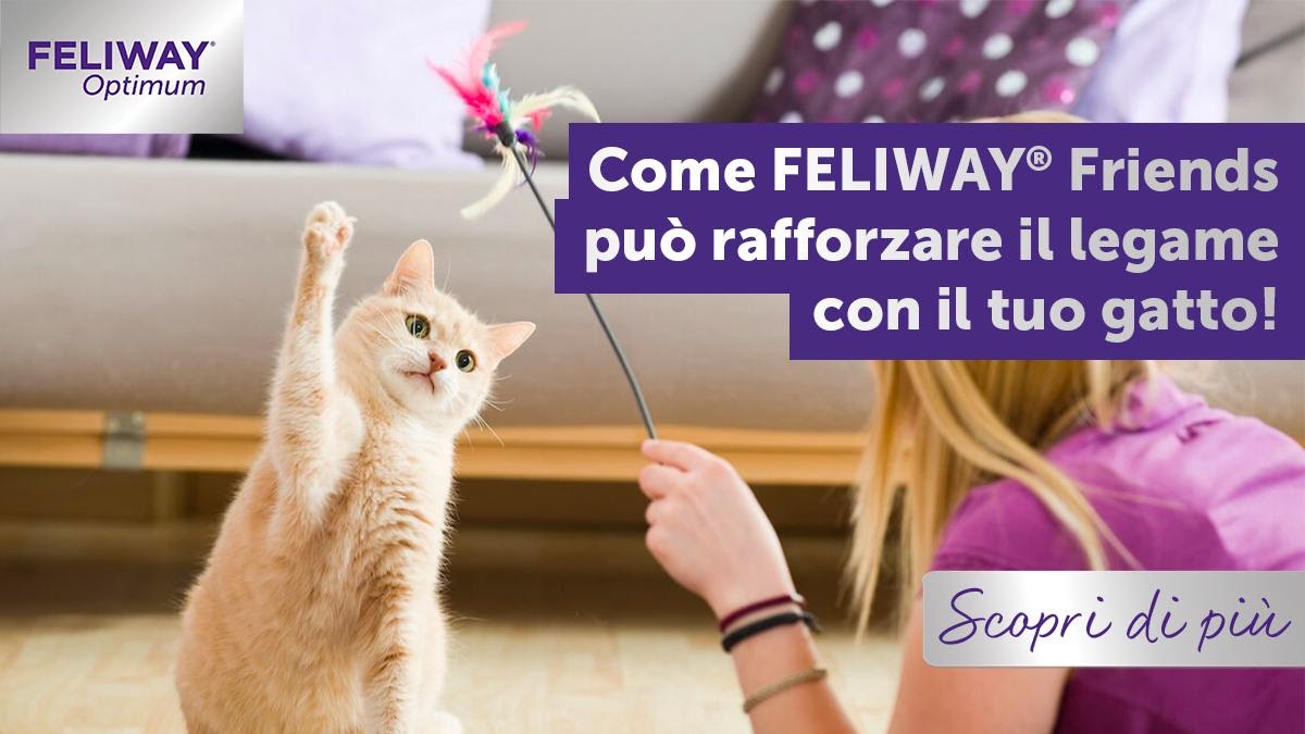 FELIWAY Friends rafforza il legame con il tuo gatto