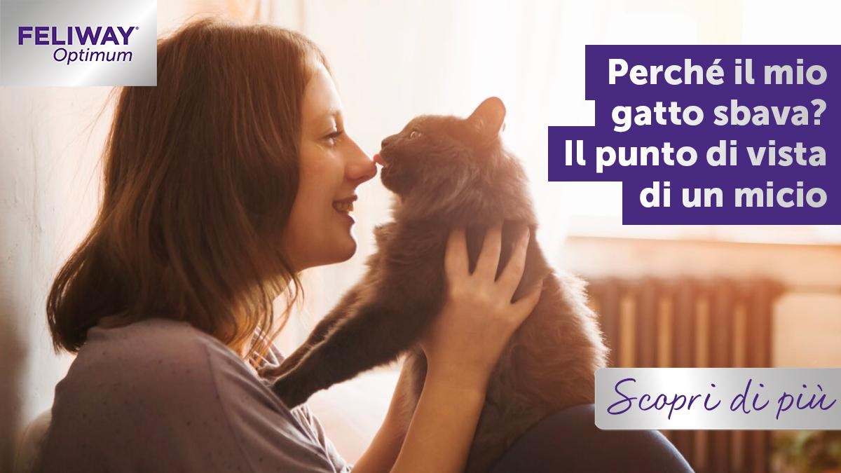 Perché il mio gatto sbava? Il punto di vista di un micio