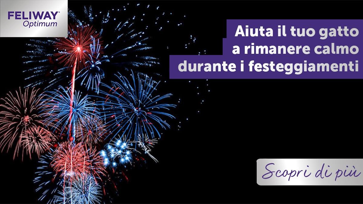 Aiuta il tuo gatto a rimanere calmo durante i festeggiamenti