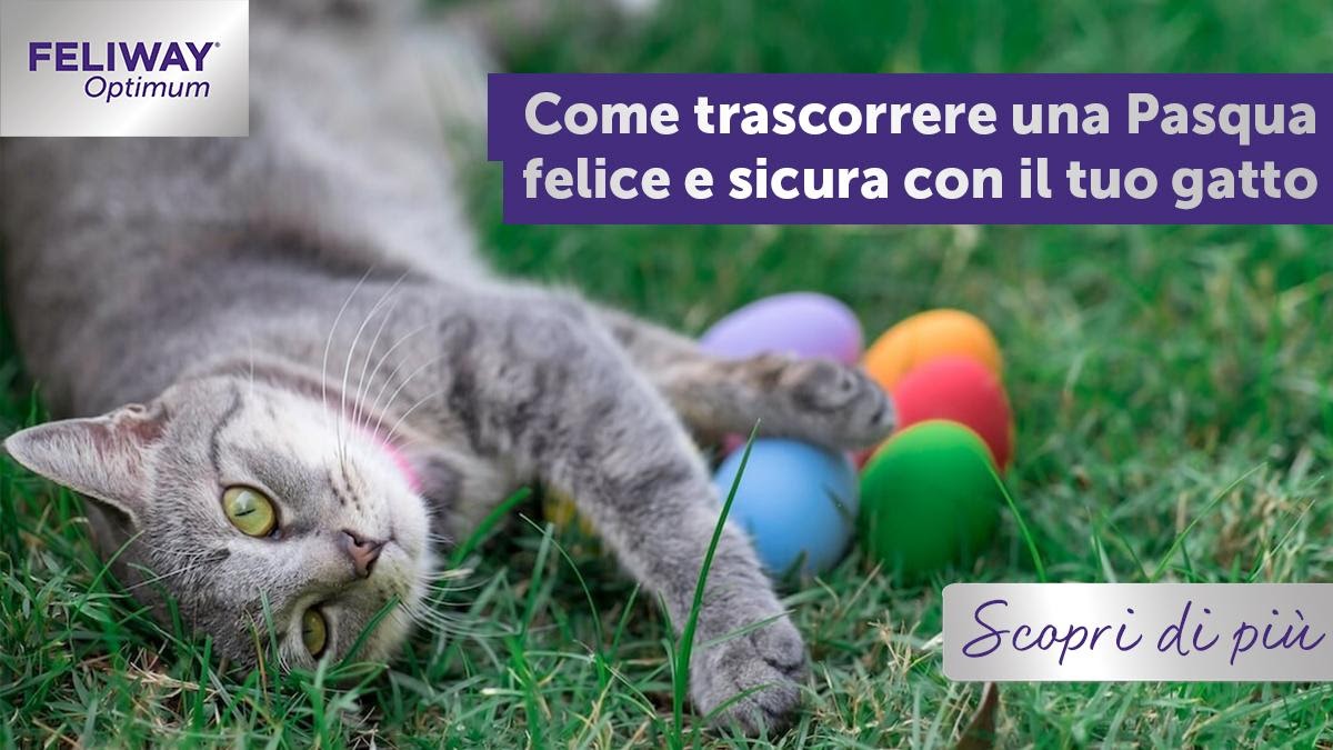 Come trascorrere una Pasqua felice e sicura con il tuo gatto
