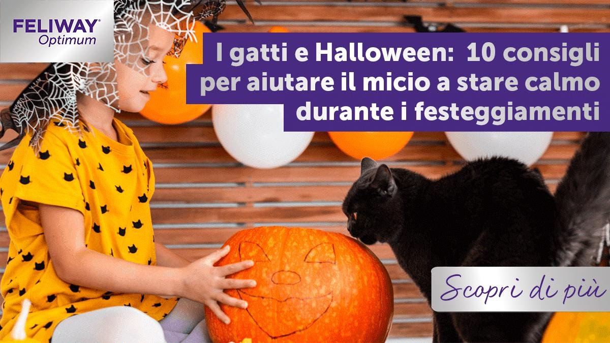 I gatti e Halloween: 10 consigli per aiutare il micio a stare calmo