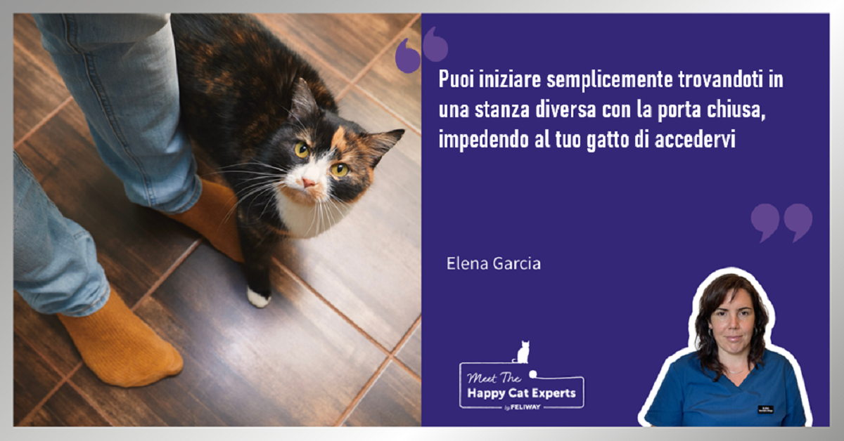 Il mio gatto dovrebbe imparare a restare a casa da solo? Ce lo spiega l' Happy Cat Expert