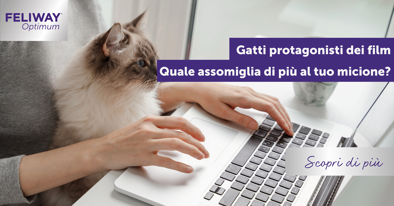Il tuo micione a quale Gatto protagonista di film assomiglia?