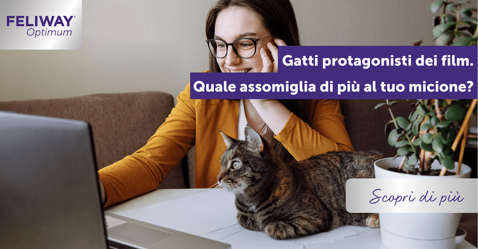 Gatti protagonisti di film. Quale assomiglia di più al tuo micione?