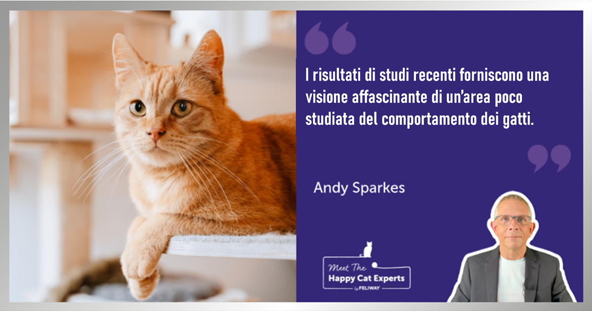 Espressioni facciali feline: ce lo spiega un esperto