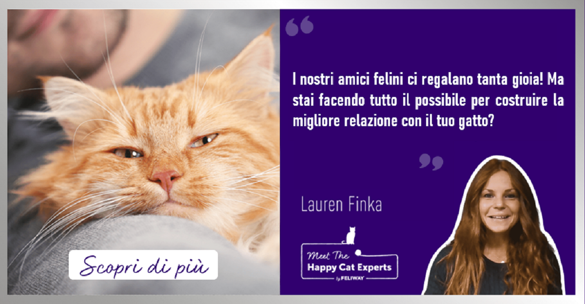 Come costruire un’ottima relazione con il tuo gatto