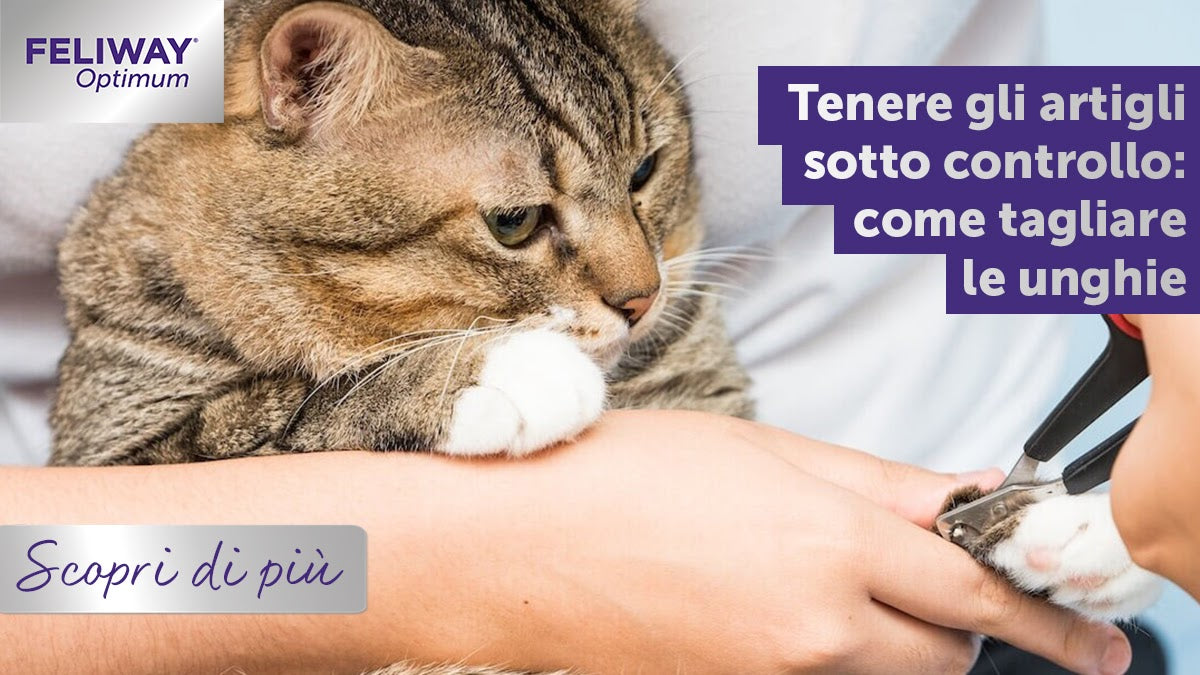 Tenere gli artigli sotto controllo: Come tagliare le unghie