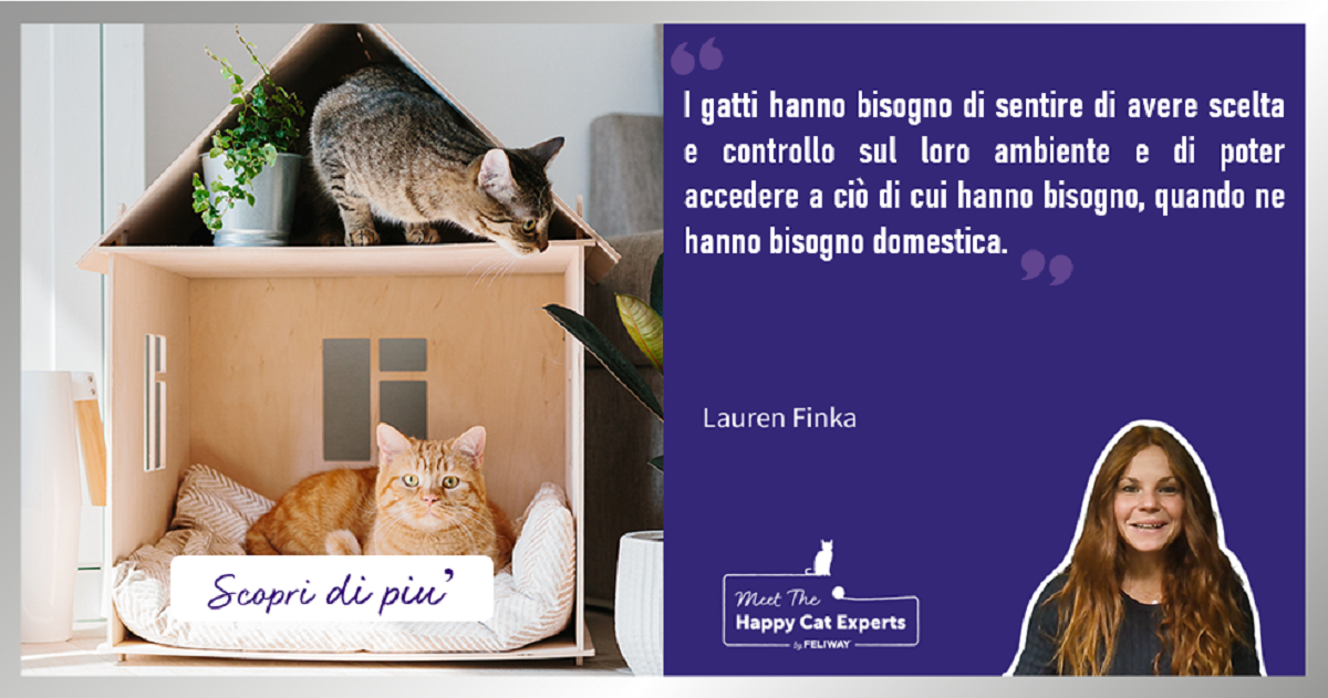 Come creare la casa perfetta per il tuo gatto