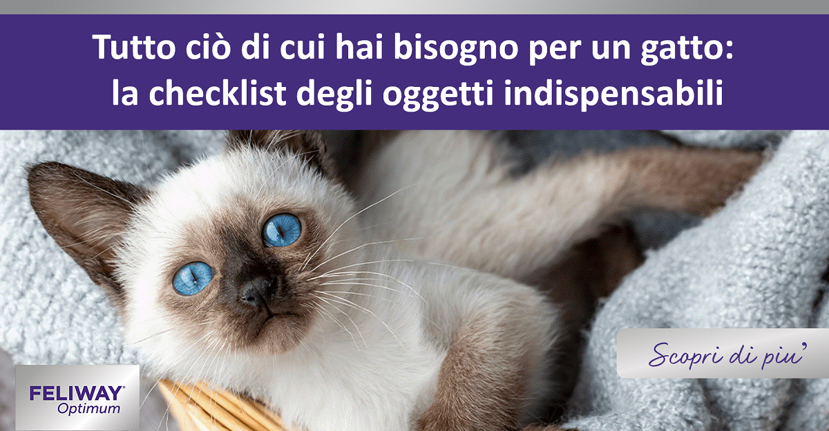 Tutto ciò di cui hai bisogno per un gatto: la checklist degli oggetti indispensabili