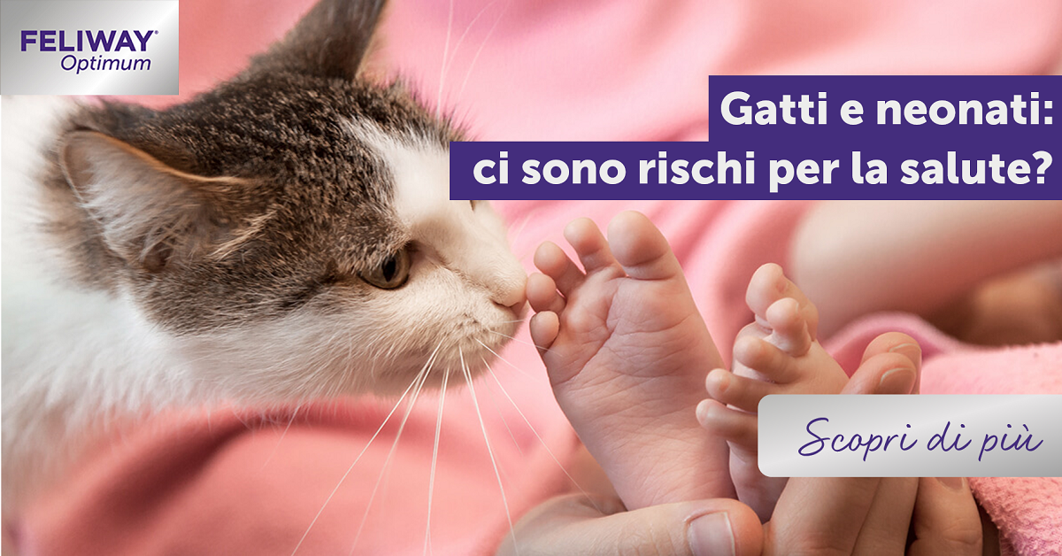 Gatti e neonati: ci sono rischi per la salute?