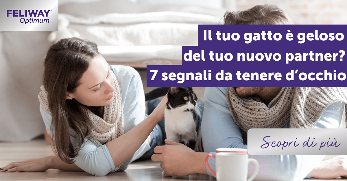 Gatto geloso del nuovo partner