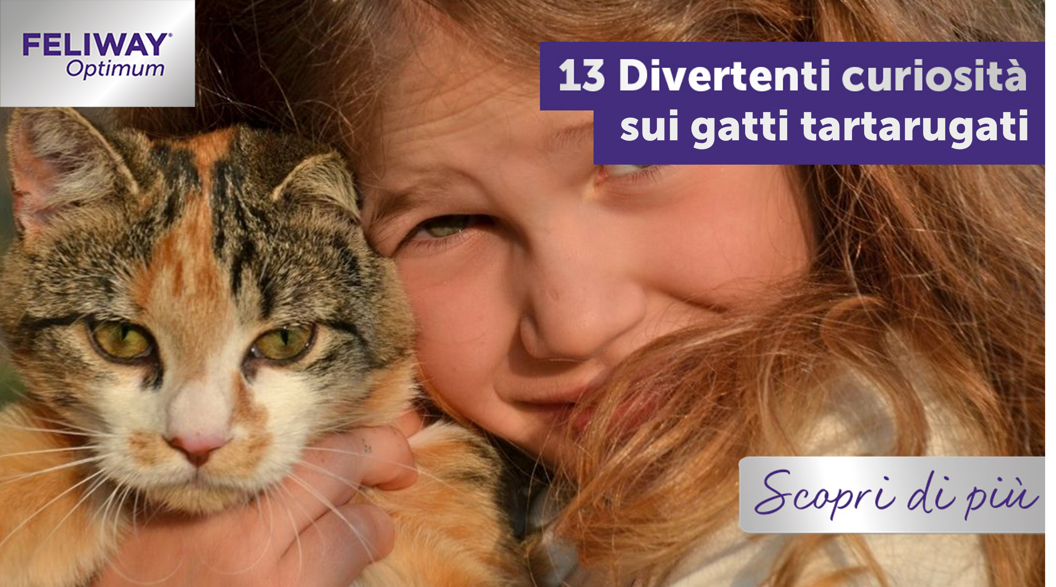 13 curiosità sul gatto tartarugato