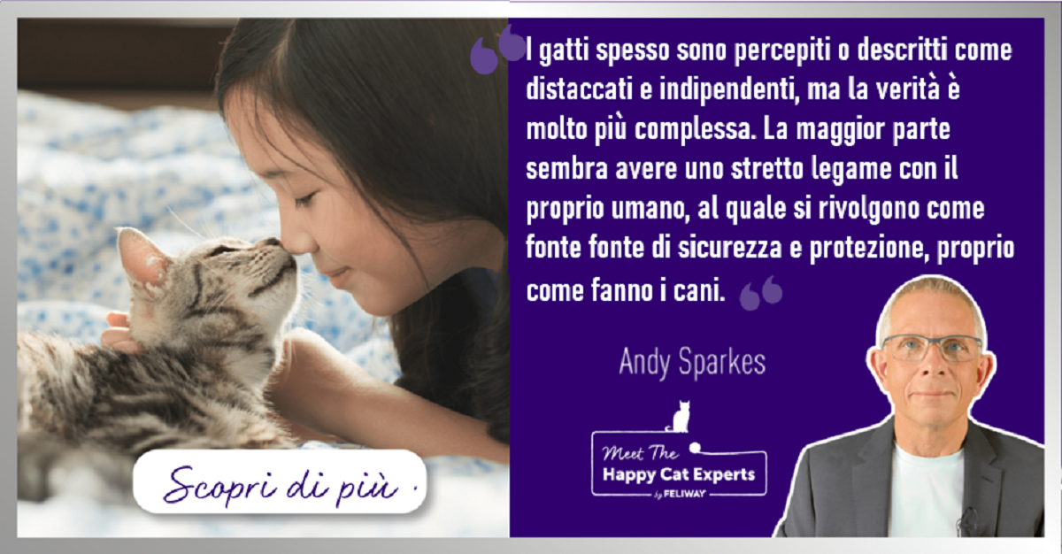 I gatti sono distaccati e indipendenti… o soltanto incompresi?