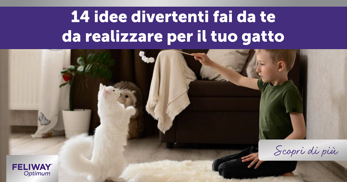fai da te da realizzare per il tuo gatto