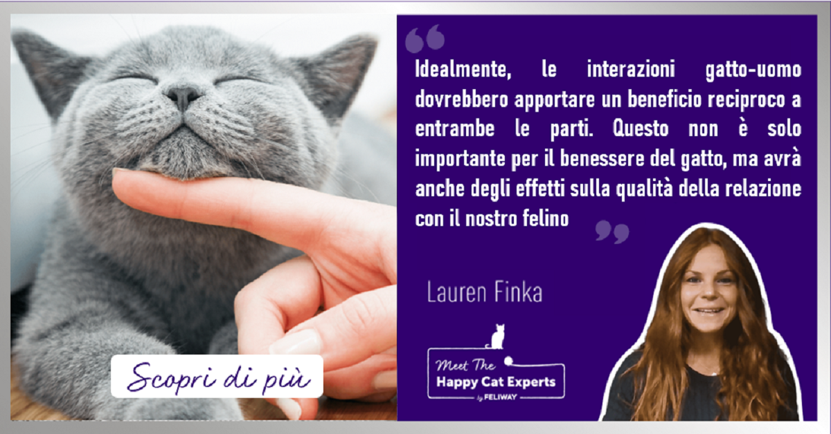 Come interagire con un gatto per renderlo felice (ed evitare che ti morda)