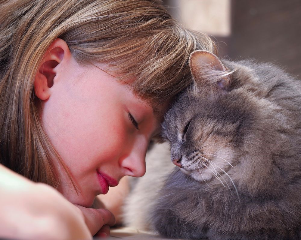 7 motivi per cui gatto e umano sono la coppia perfetta!