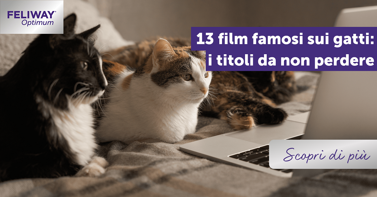 13 film famosi sui gatti: i titoli da non perdere