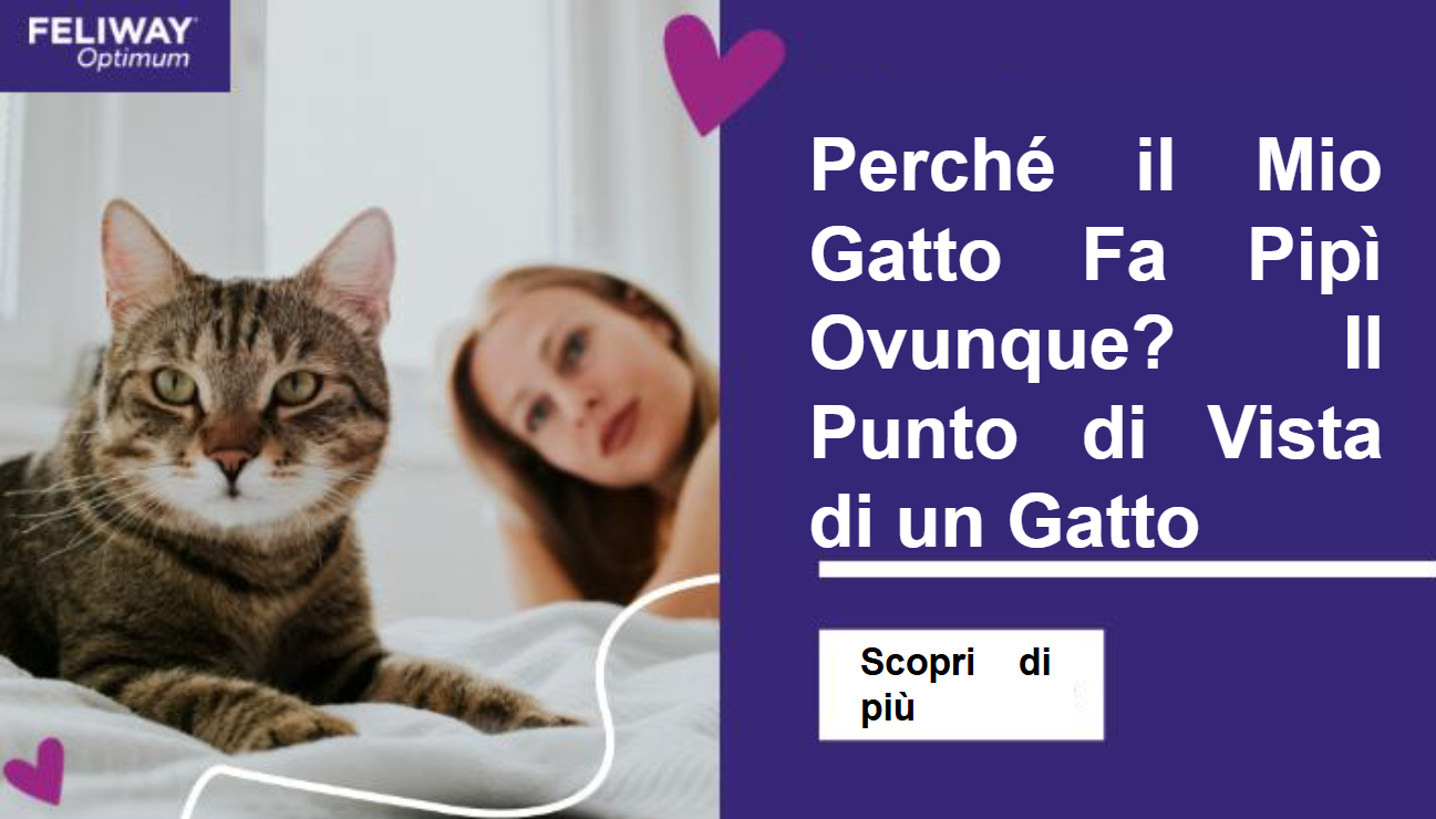 una donna sdraiata dietro un gatto disteso su una coperta.