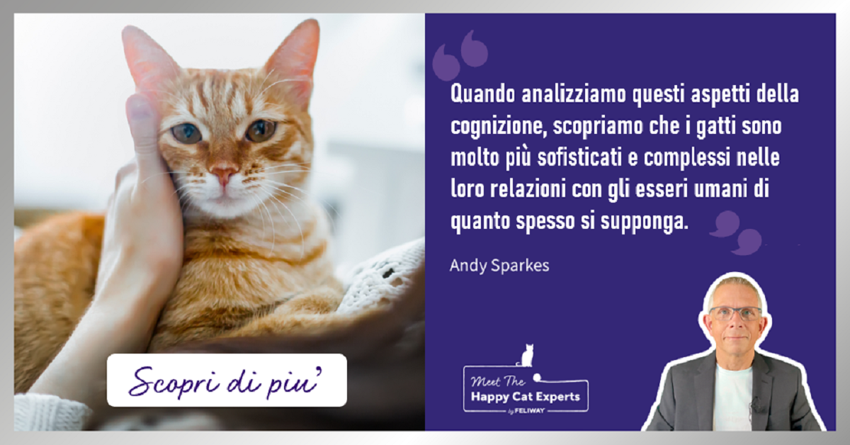 I gatti riconoscono il loro nome ? La parola all'esperto