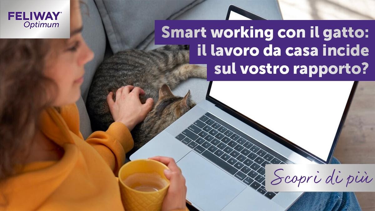 Smart working con il gatto: il lavoro incide sul vostro al rapporto?