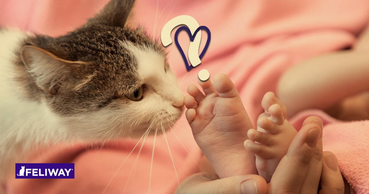 Gatti e bambini: 9 Consigli per una convivenza serena