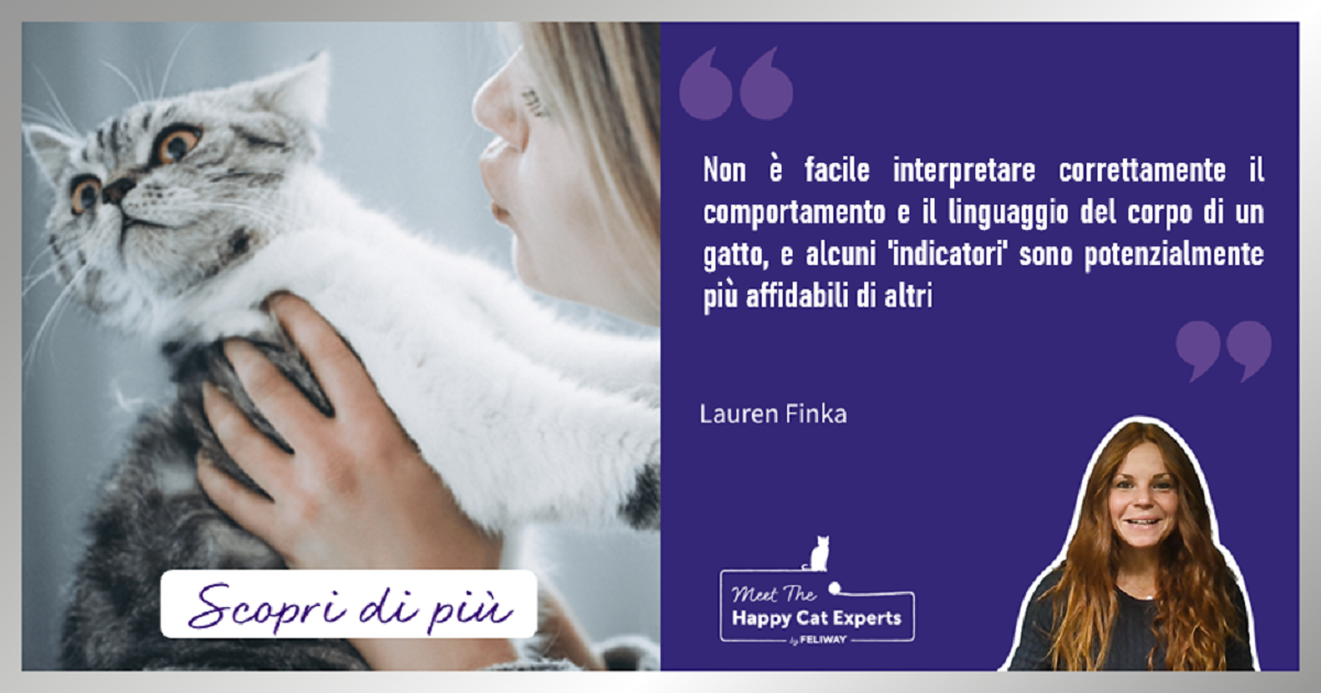 Segni di stress e disagio nel gatto