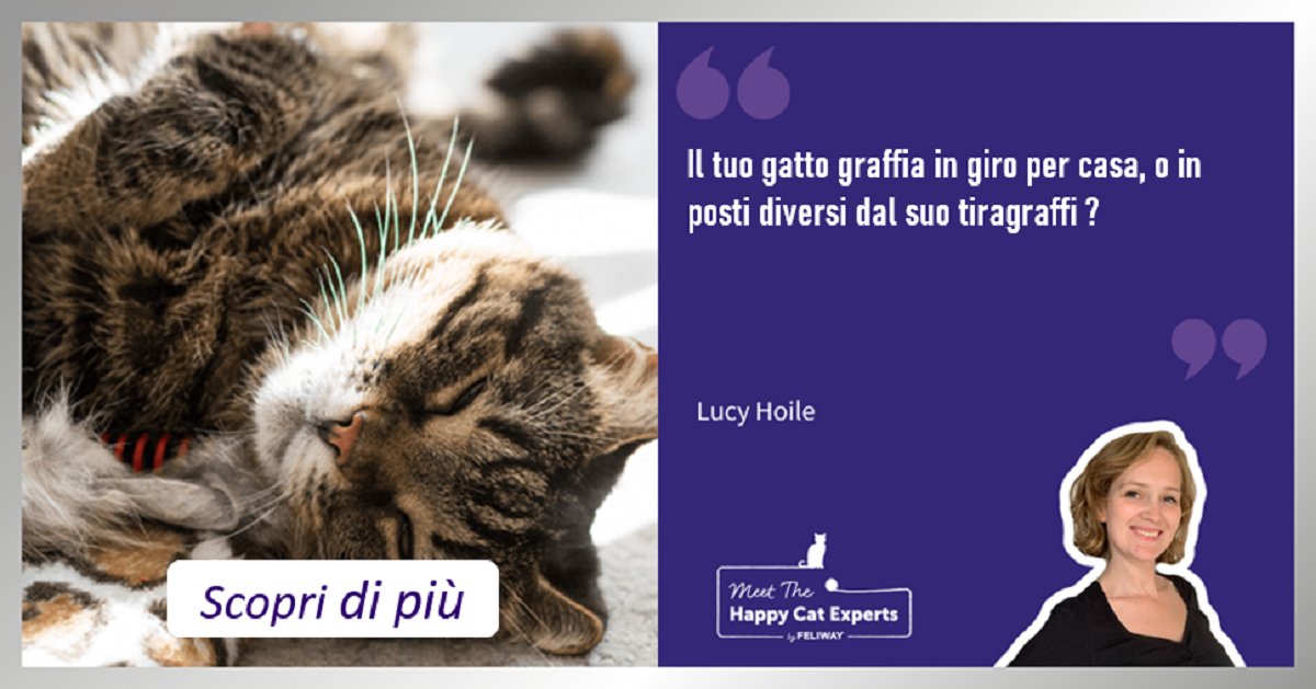 Incoraggiare il gatto ad usare il tiragraffi