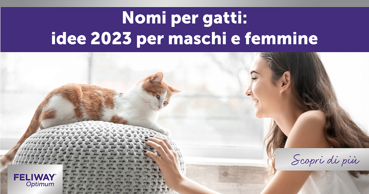 Nomi per gatti: idee 2023 per maschi e femmine