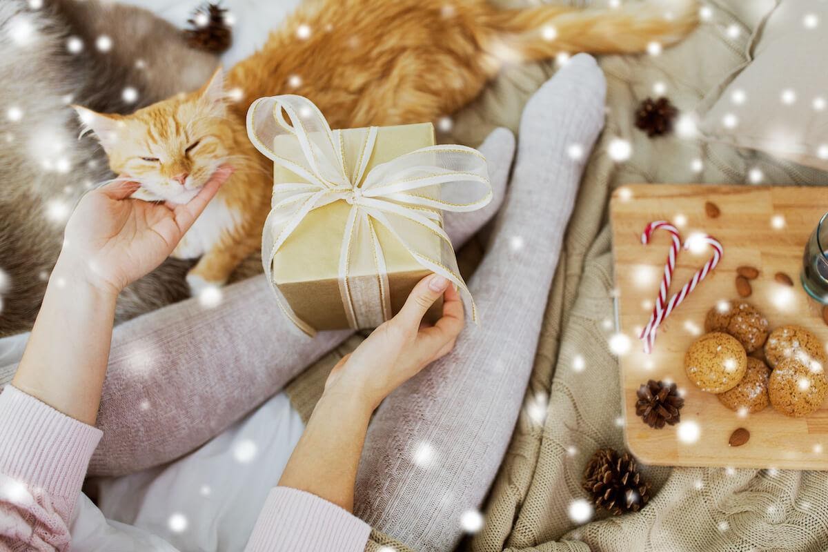 I migliori regali di Natale per gatti