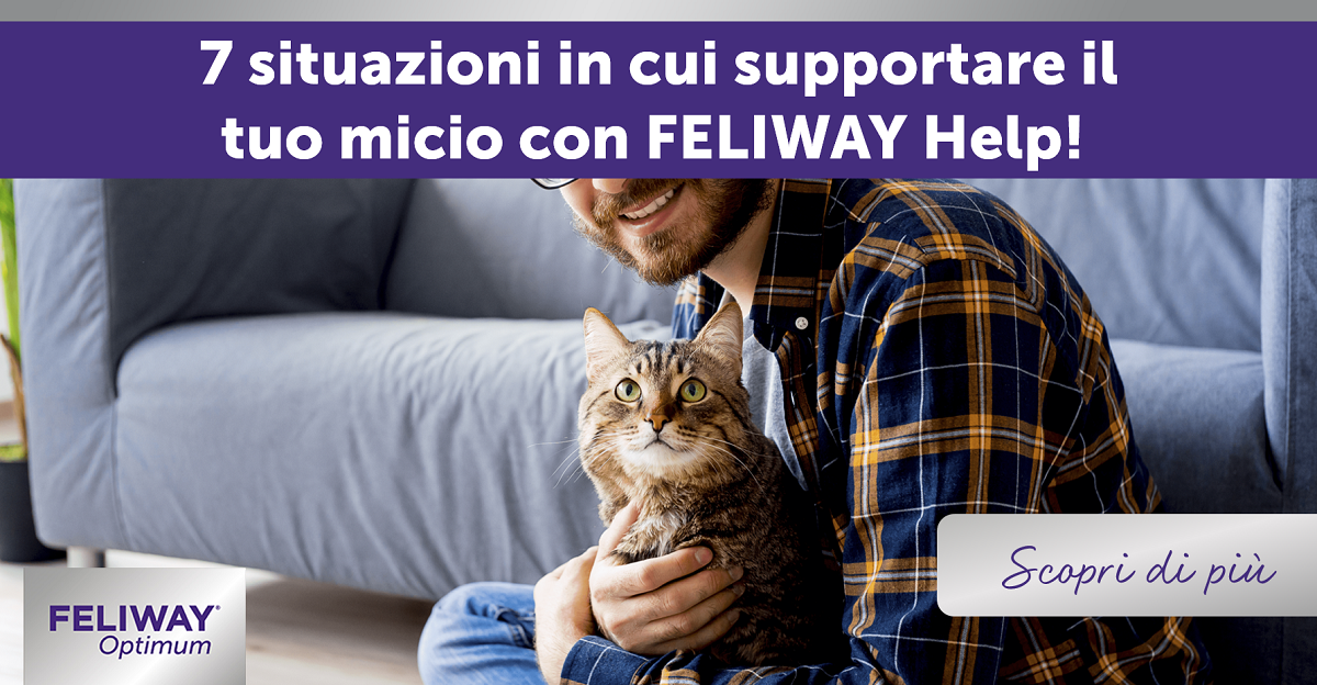 7 situazioni in cui supportare il tuo micio con FELIWAY Help!