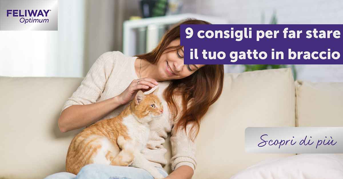 9 consigli per far stare il tuo gatto in braccio