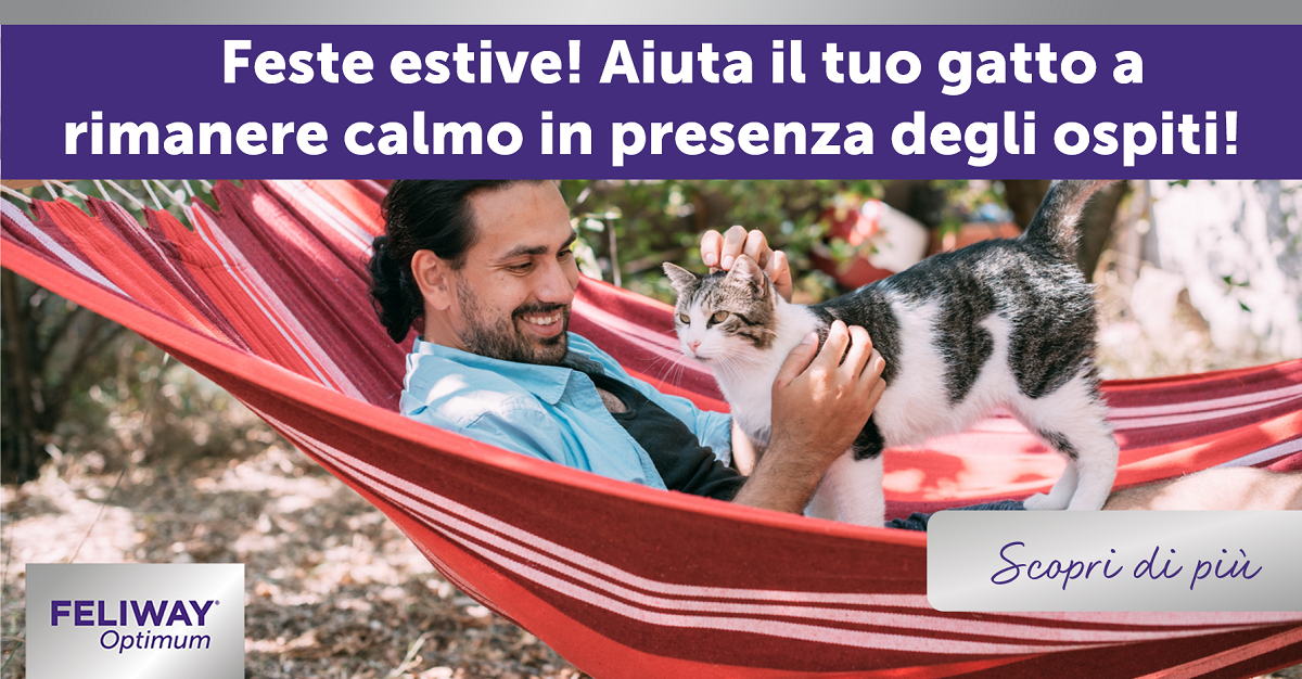 Feste estive! Aiuta il tuo gatto a rimanere calmo in presenza degli ospiti!