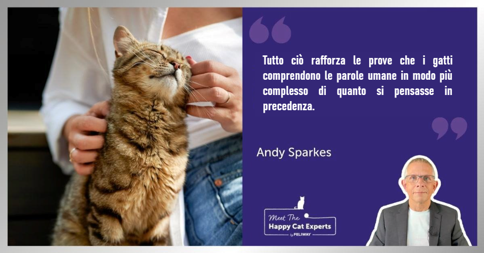 Gatto seduto accanto a una donna su una panchina mentre viene accarezzato.