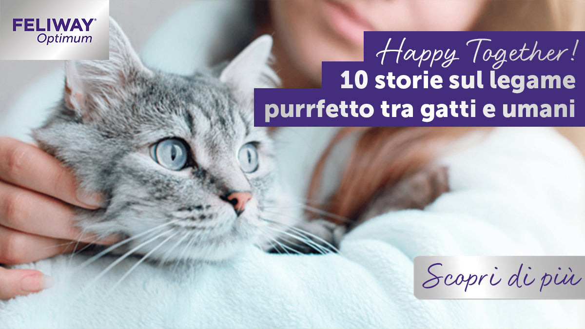 Happy Together! 10 storie sul legame purrfetto tra gatti e umani