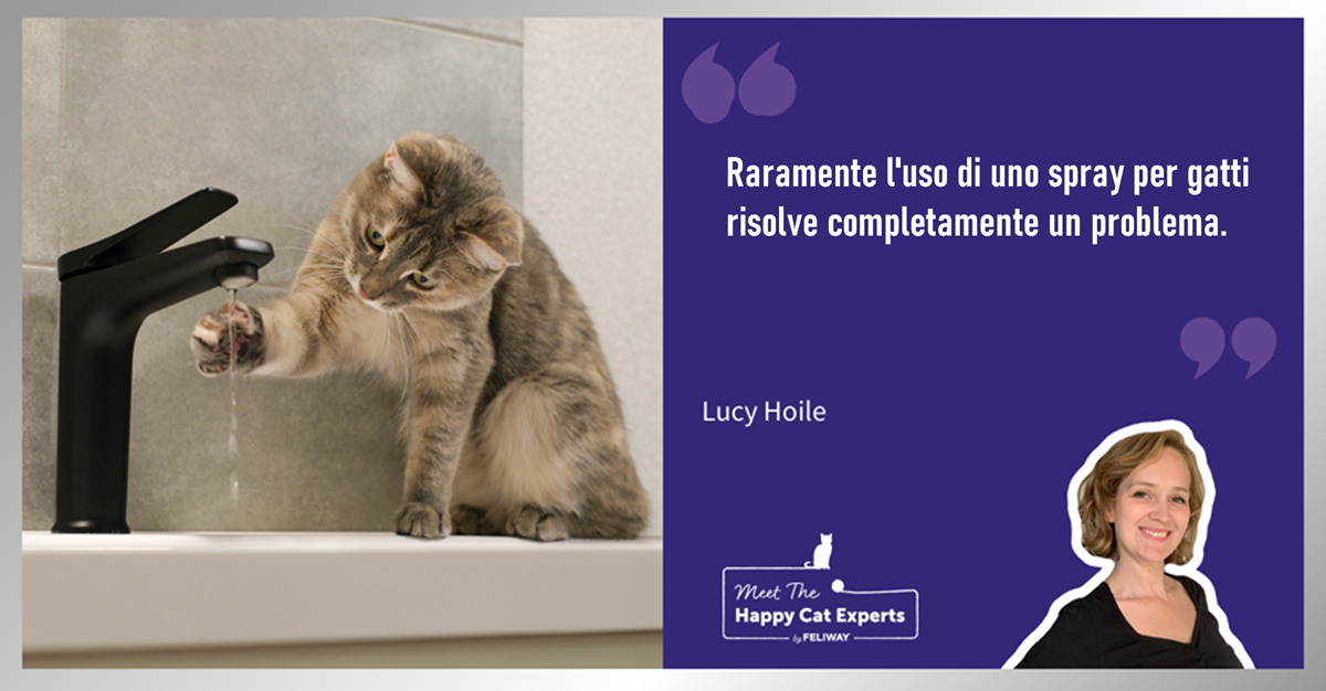 Posso spruzzare acqua sul mio gatto perché si comporta male?