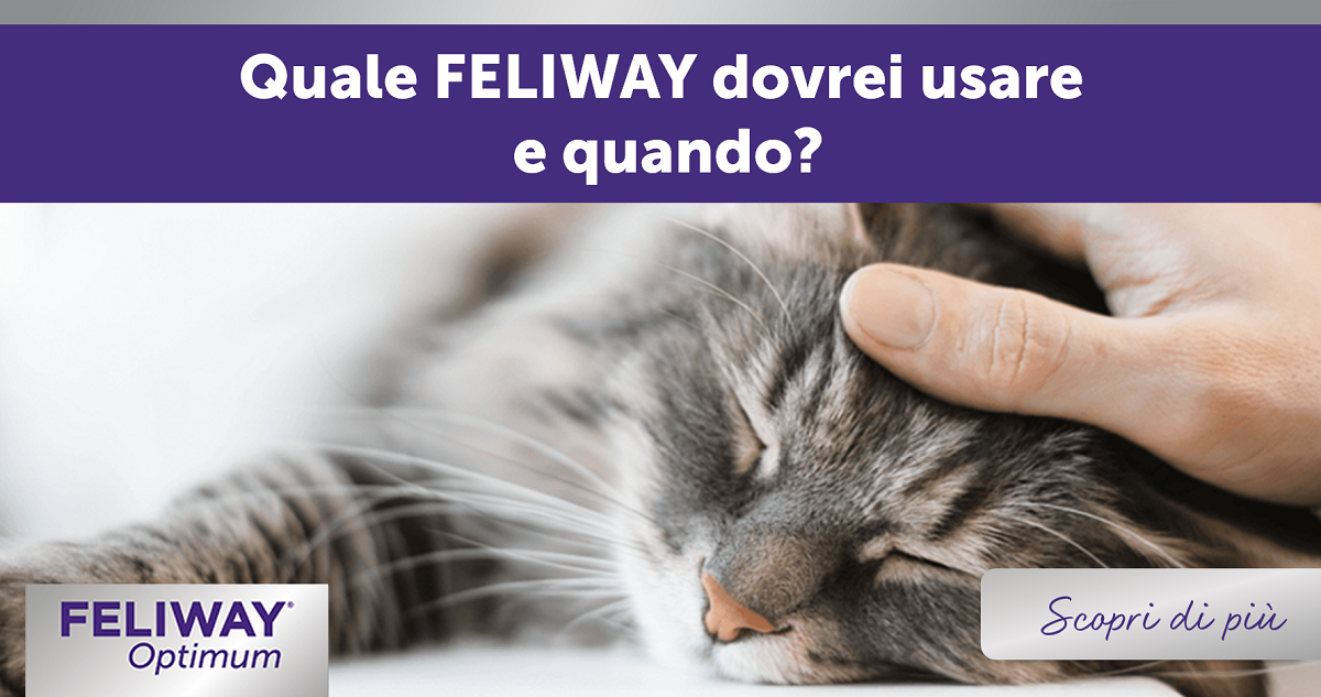 Quale FELIWAY dovrei usare e quando?
