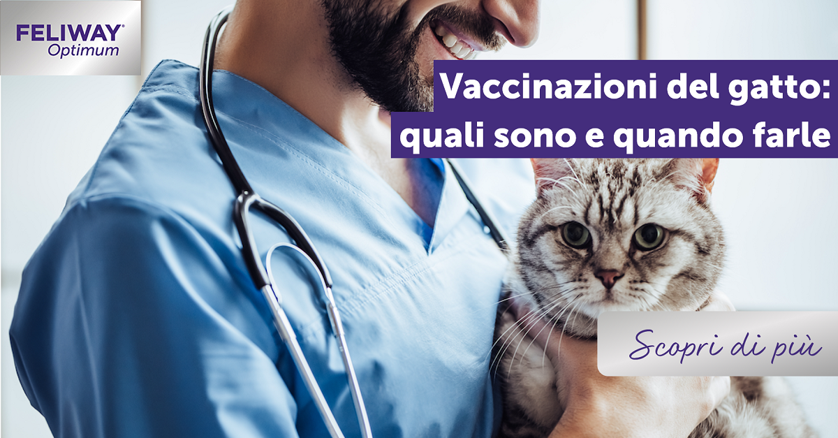 Vaccinazioni del gatto: quali sono e quando farle