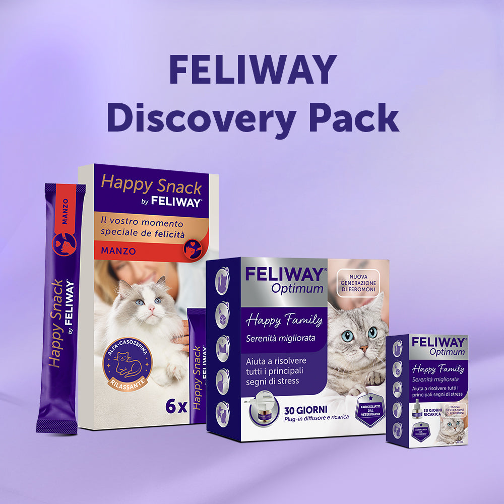 Discovery Pack - Manzo