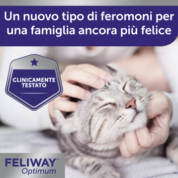 Feliway Optimum Starter Kit - Diffusore più Ricarica