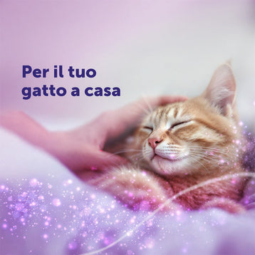 FELIWAY® Classic - Starter Kit