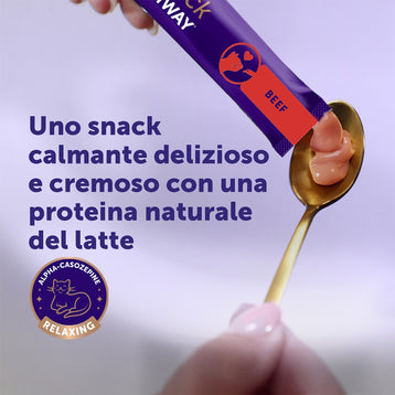 manzo