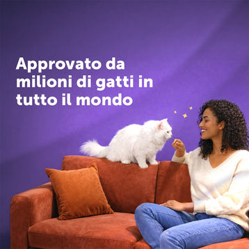 manzo